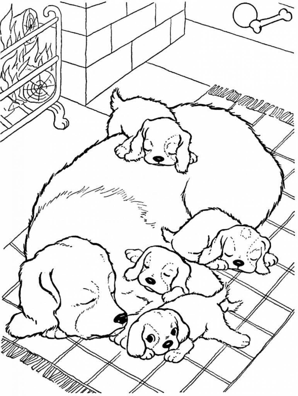 Fun coloring for boys and dogs