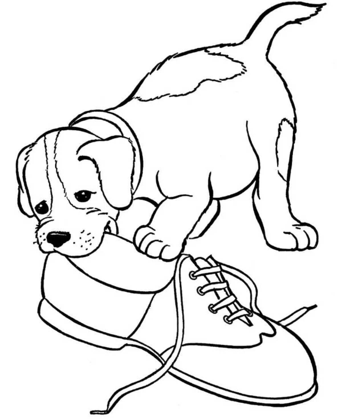 Energetic coloring book for dog boys