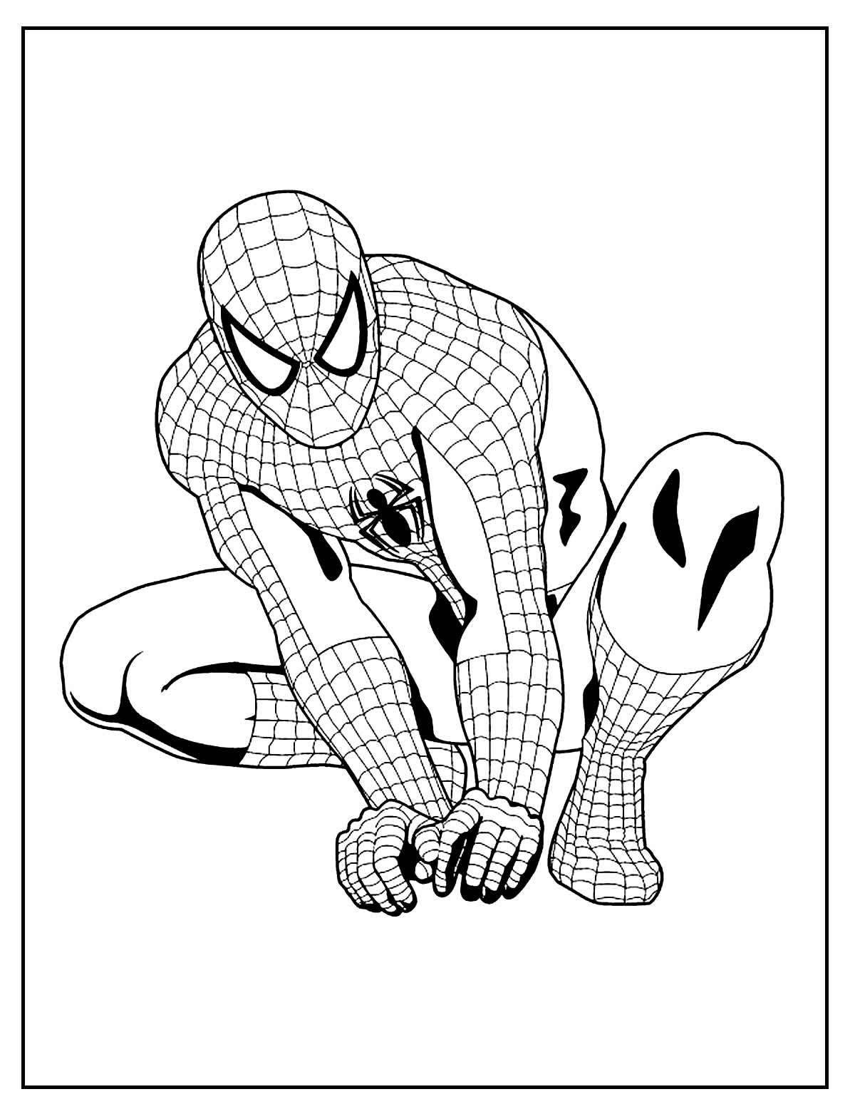 Spider-man colorful coloring book