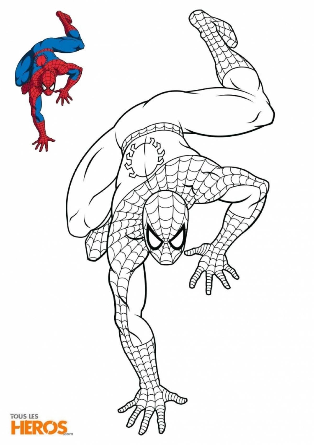 Spiderman colored #4