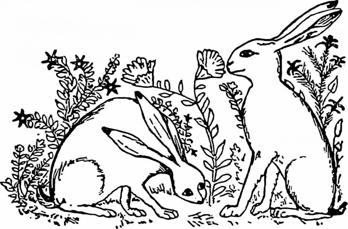 Coloring page funny hunters and rabbits