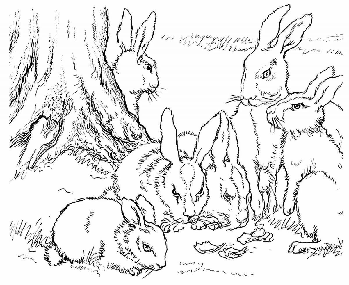 Раскраска анимированные охотники и кролики