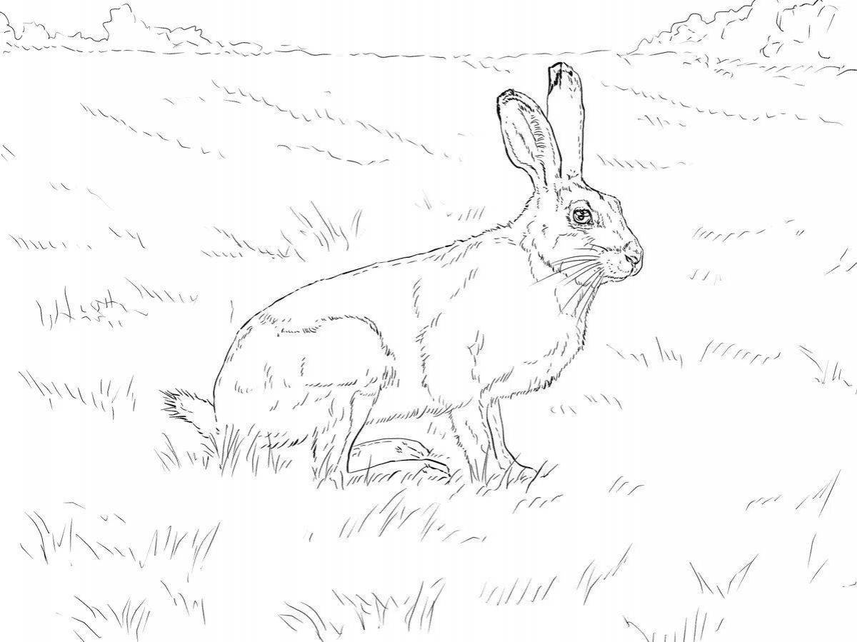 Coloring page funny hunters and rabbits