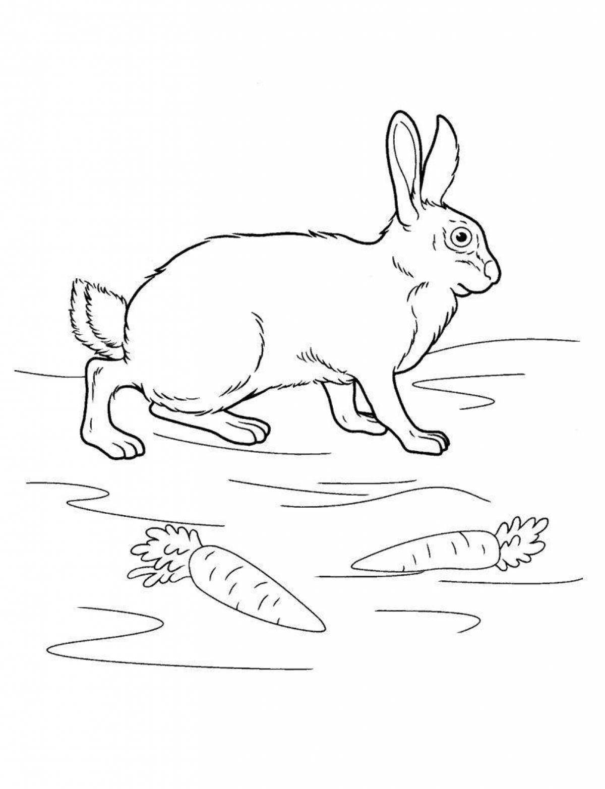 Coloring page dazzling hunters and rabbits