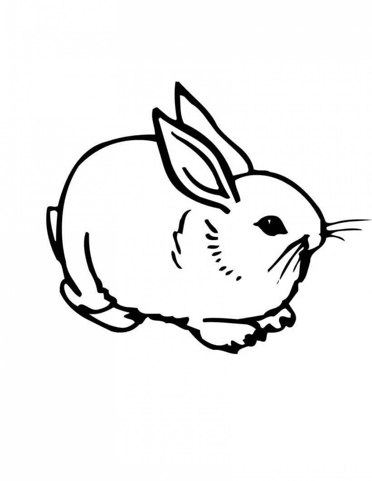 Playful rabbit coloring book for kids