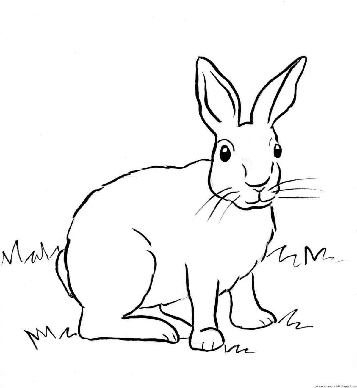 Cute rabbit coloring book for kids
