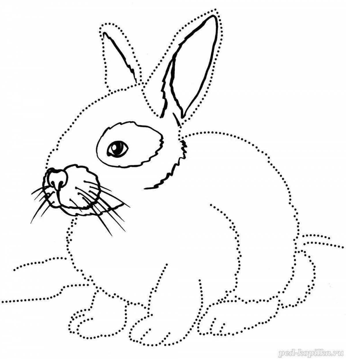 Живая раскраска кролик для детей