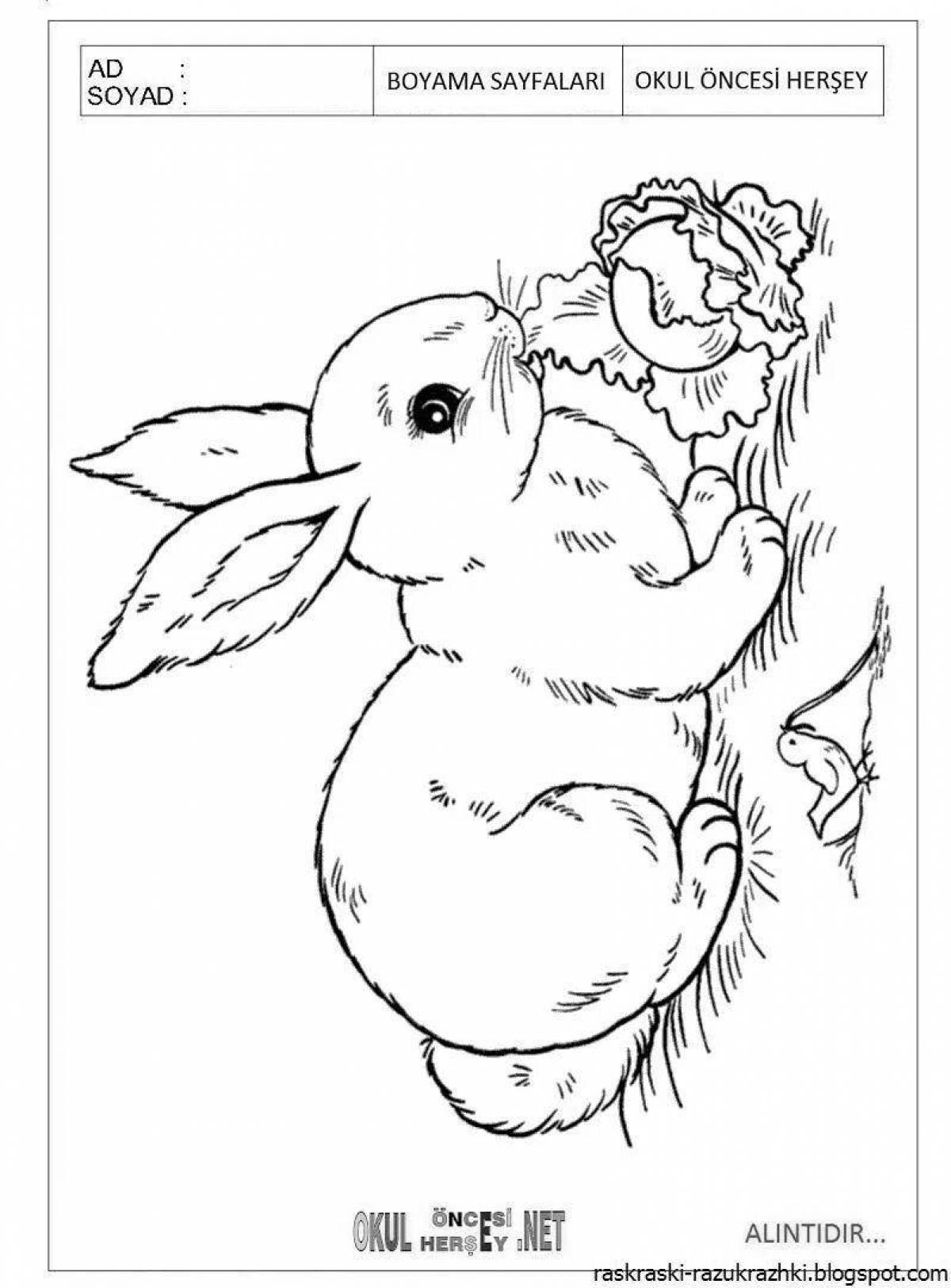 Дружелюбный кролик-раскраска для детей
