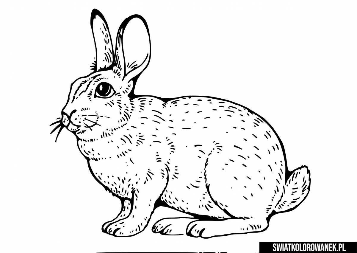 Красочная раскраска кролик для детей