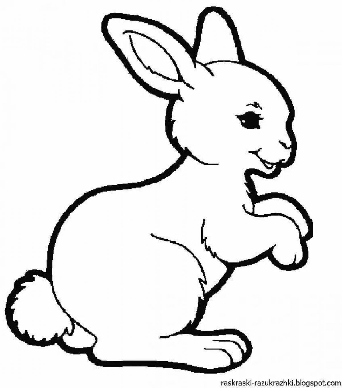 Adorable rabbit coloring book for kids