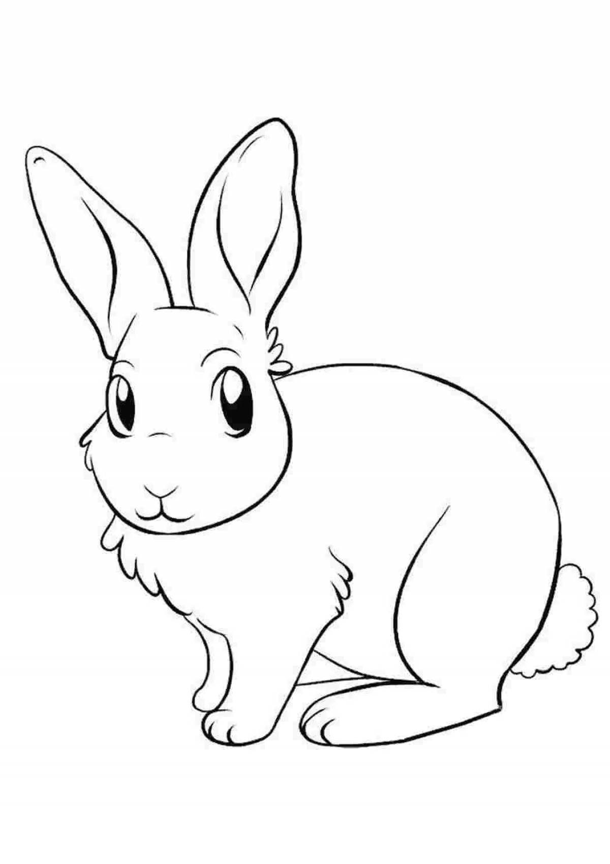 Baby rabbit #5