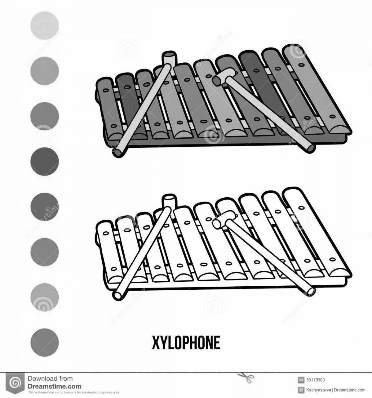 Children's xylophone coloring book
