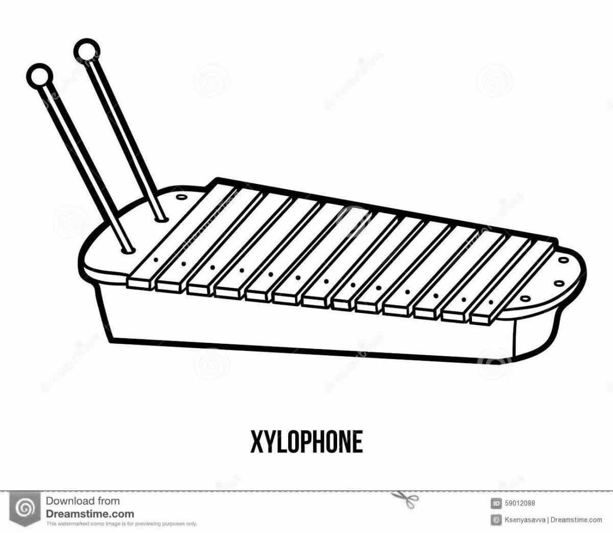 Xylophone fun coloring book for babies