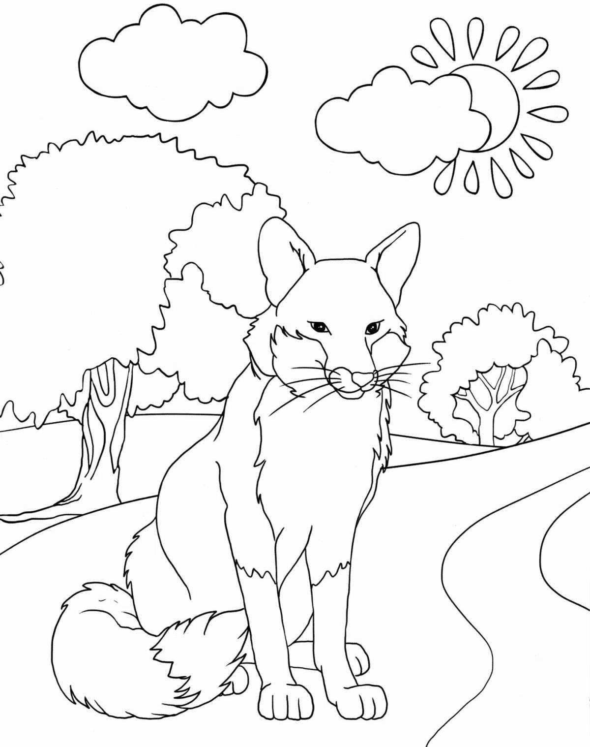 Tulka fun coloring for kids