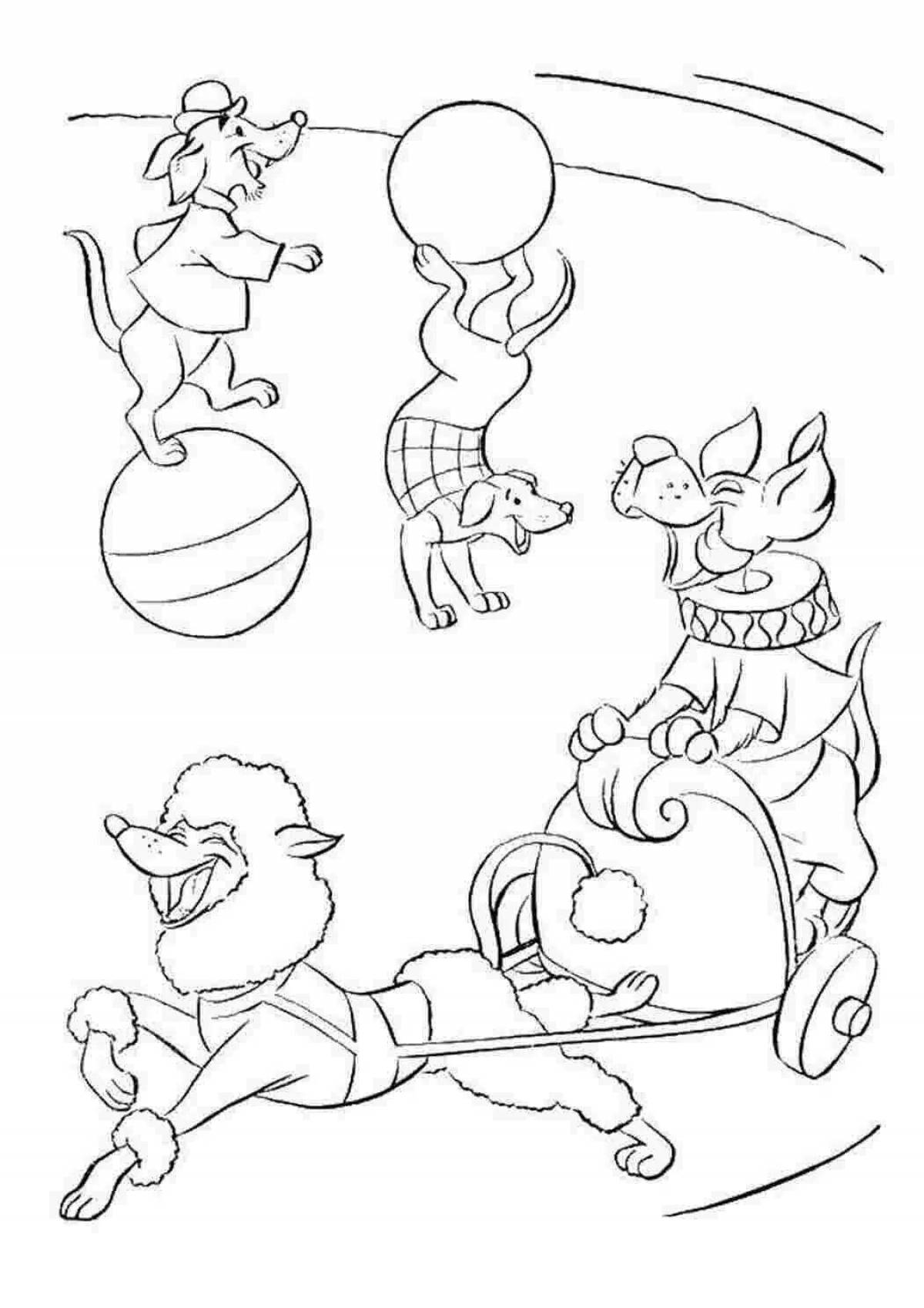 Charming circus coloring book