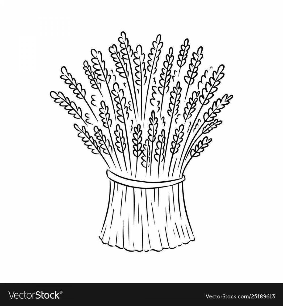 Fun hay coloring for toddlers
