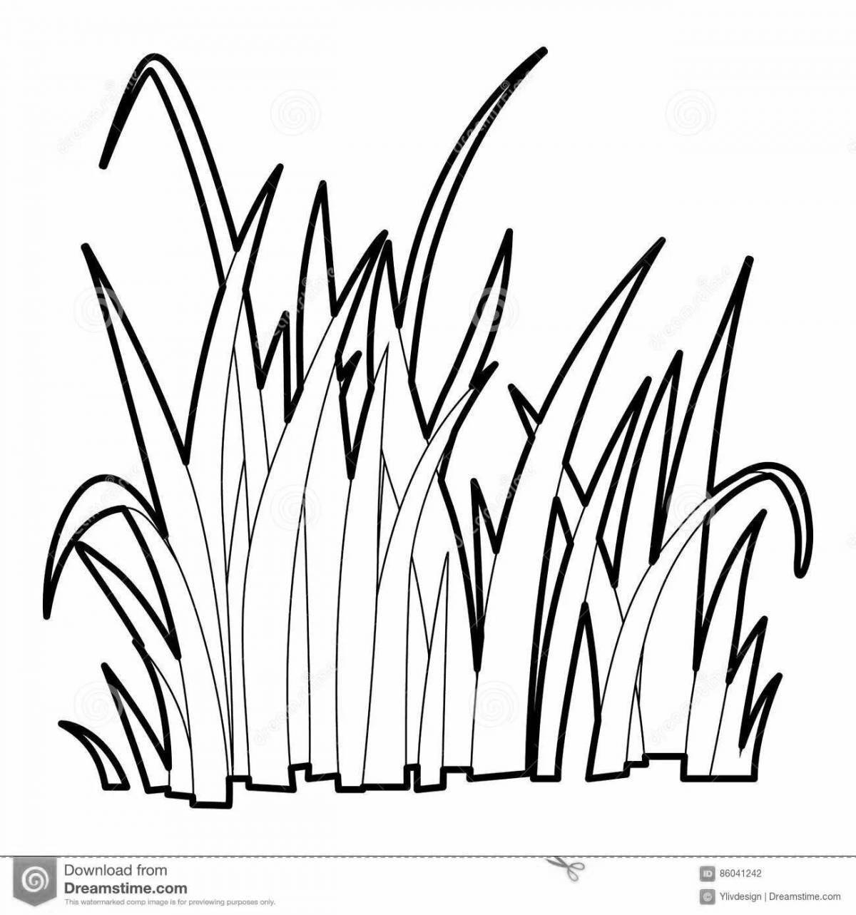 Exciting hay coloring for kids