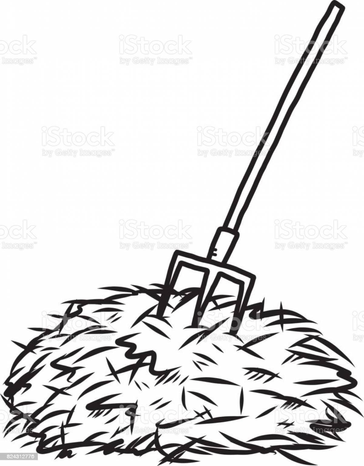 Photo Hay for kids #1