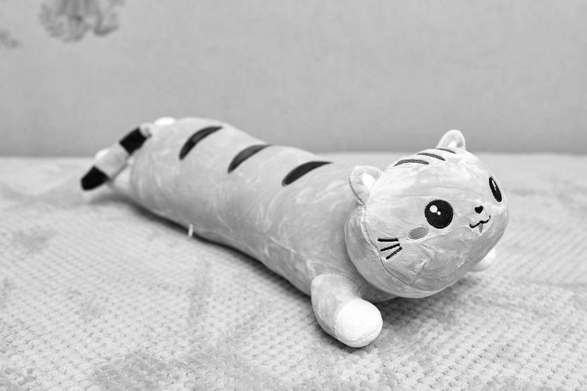 Раскраска snuggly cat loaf toy