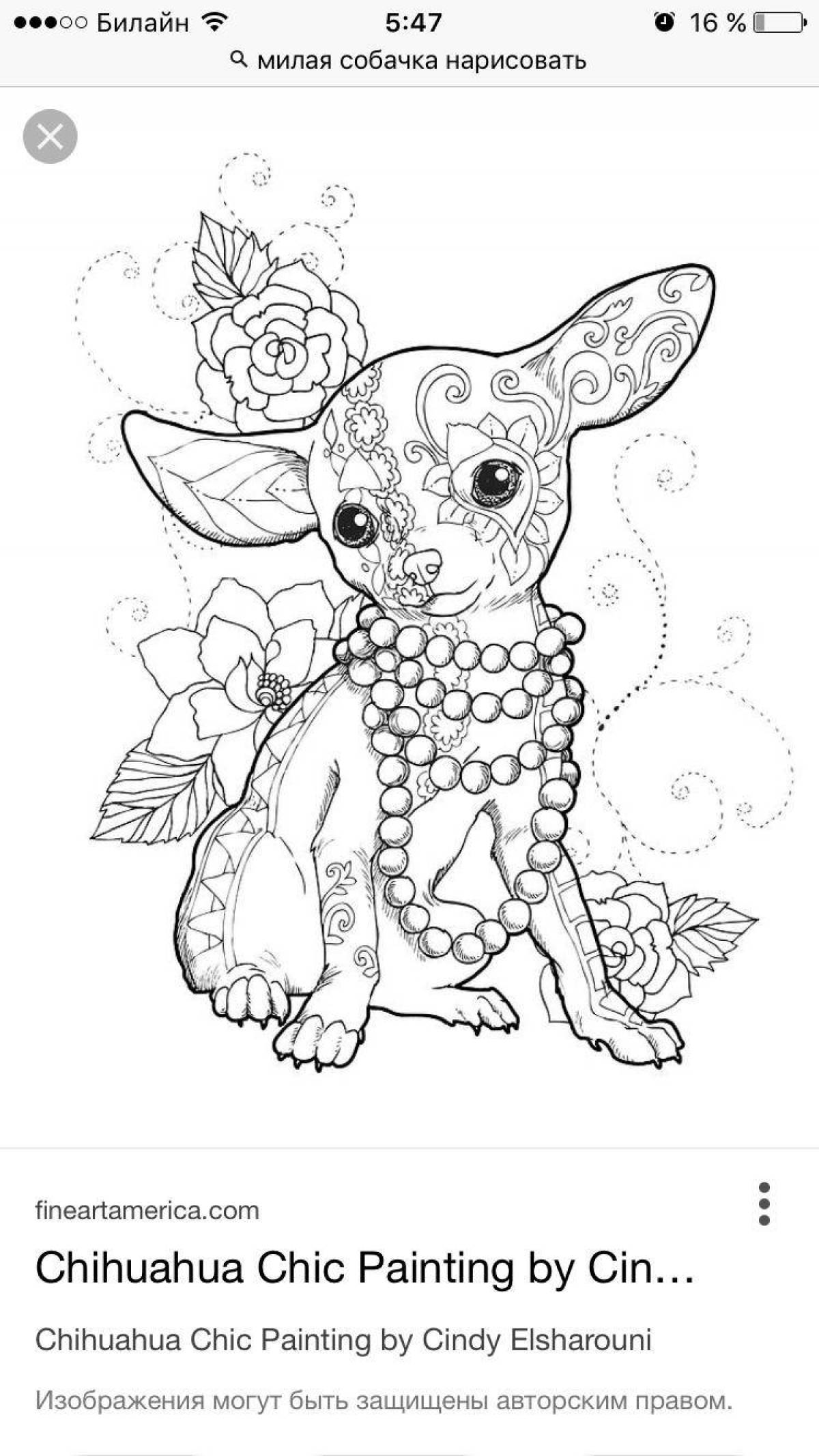 10 year old animal shimmer coloring book