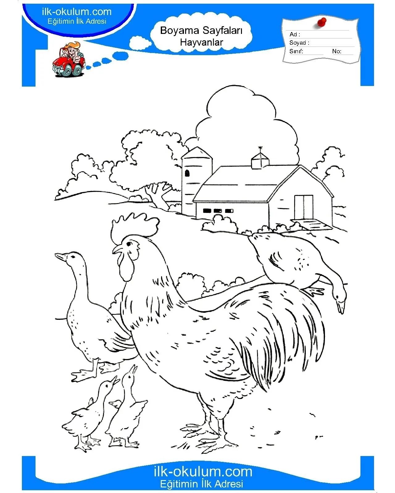 Photo Colorful magic coloring yard for kids