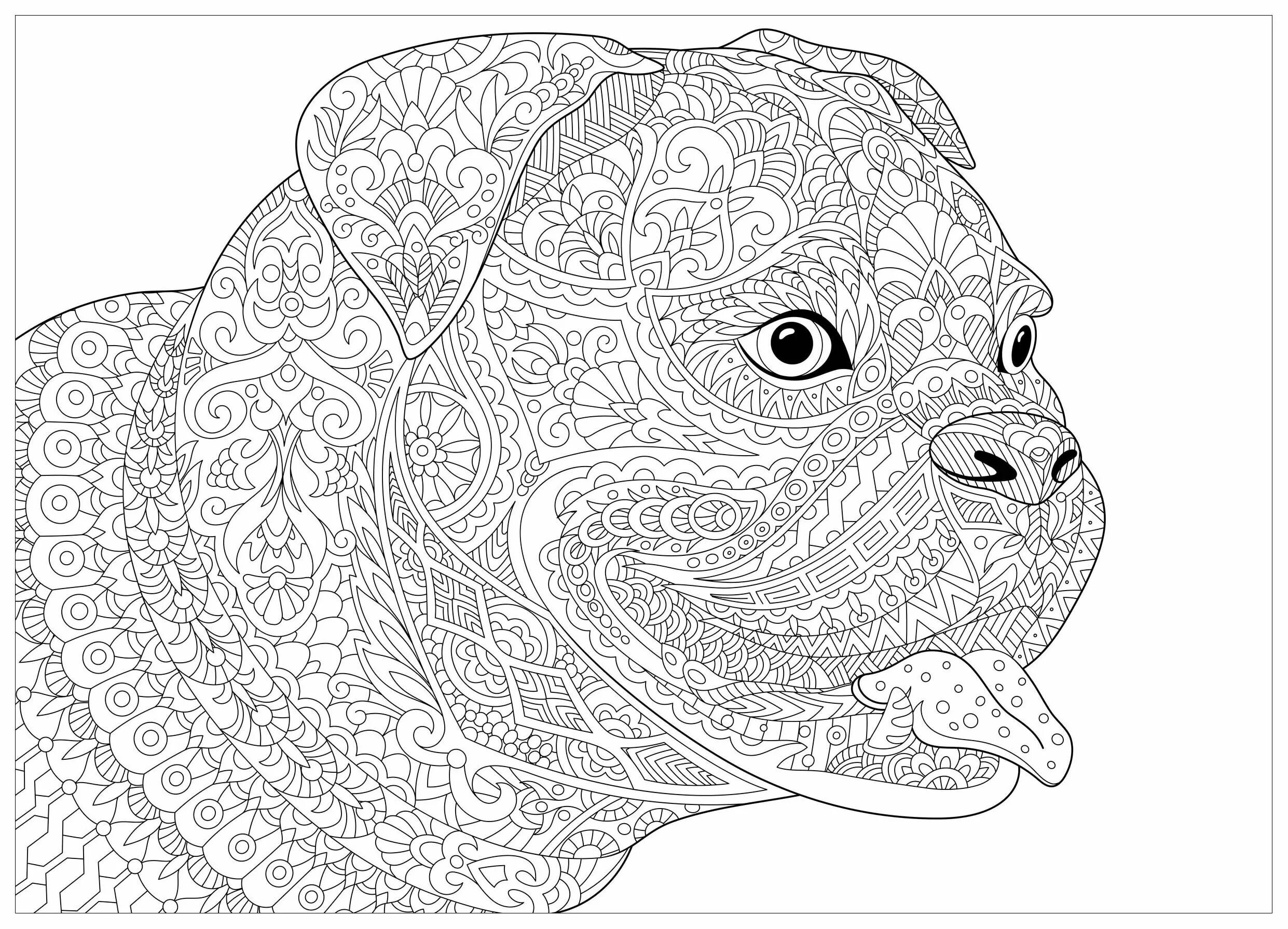 Live coloring animal complex cute