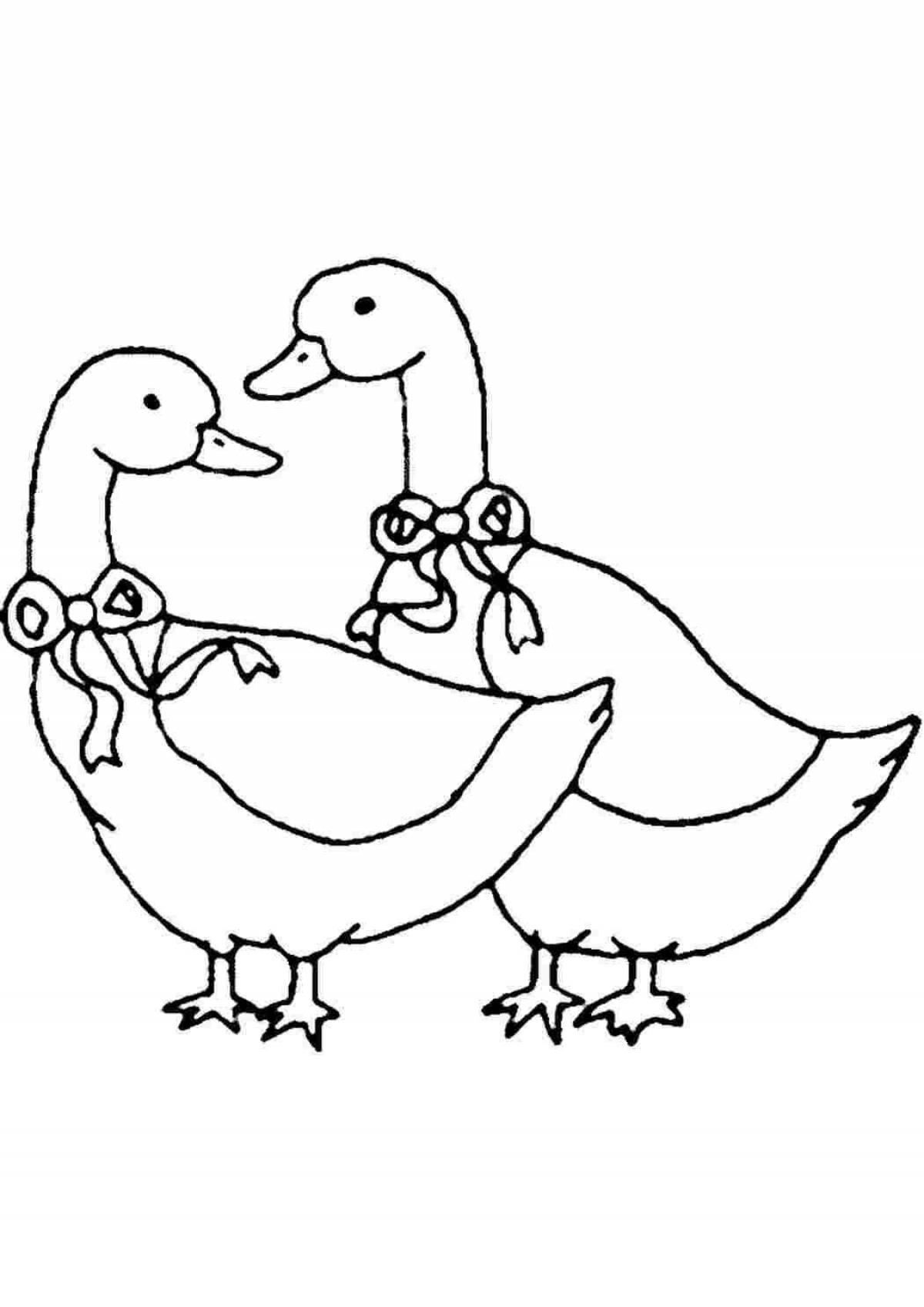 Раскраска 2 веселых гуся для детей