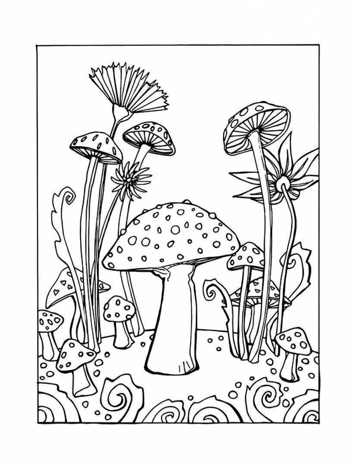 Раскраска грибы с узорами