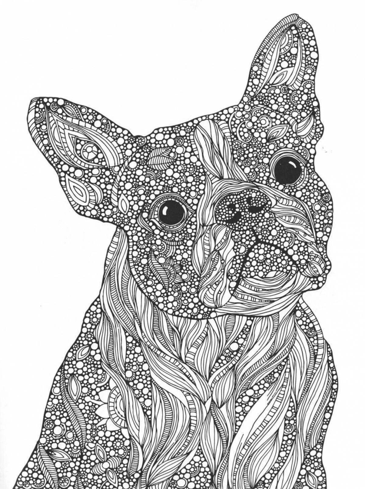 Coloring book for a complex of bizarre anti-stress animals