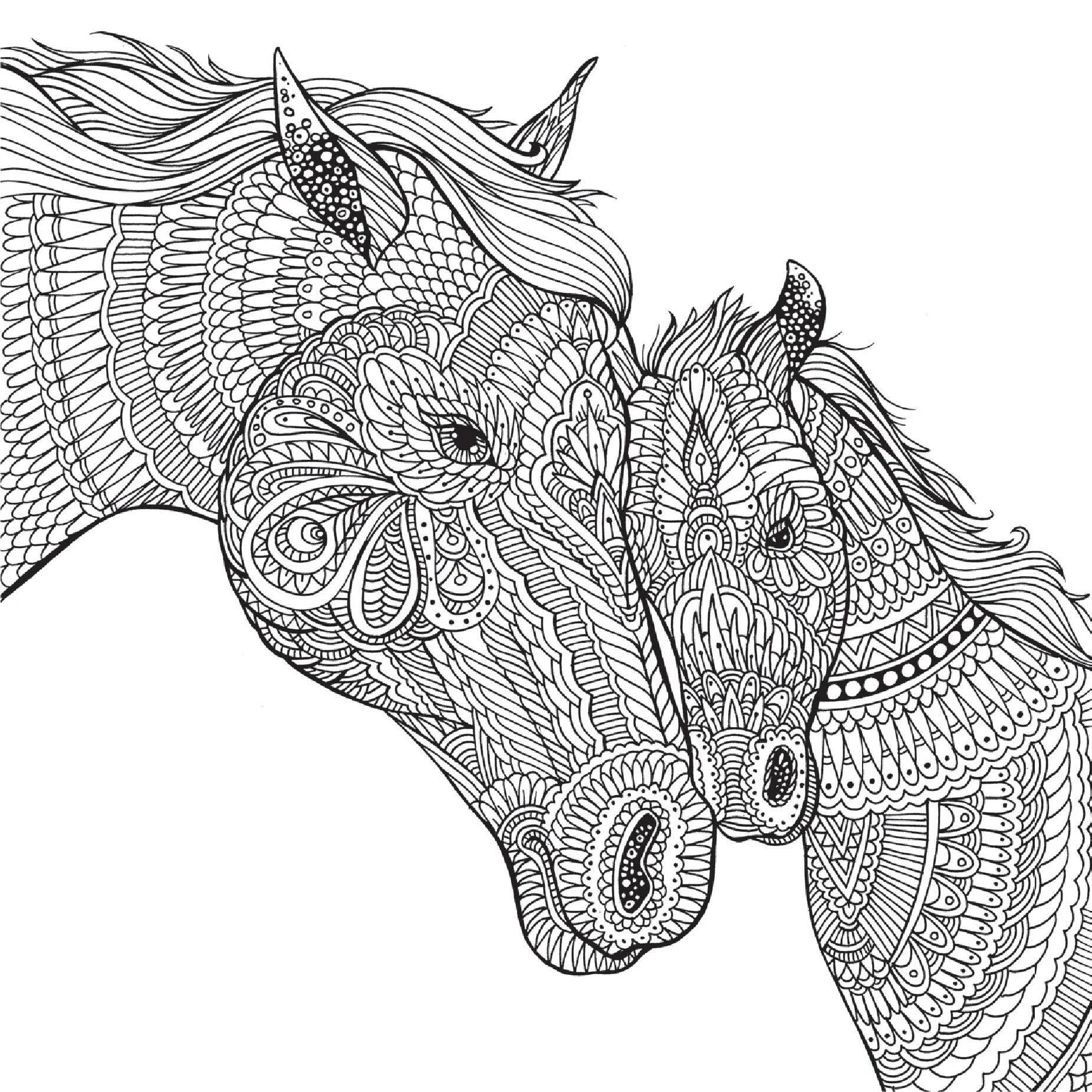 Coloring book live anti-stress complex of animals