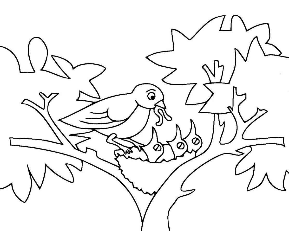 Великолепная птица на дереве