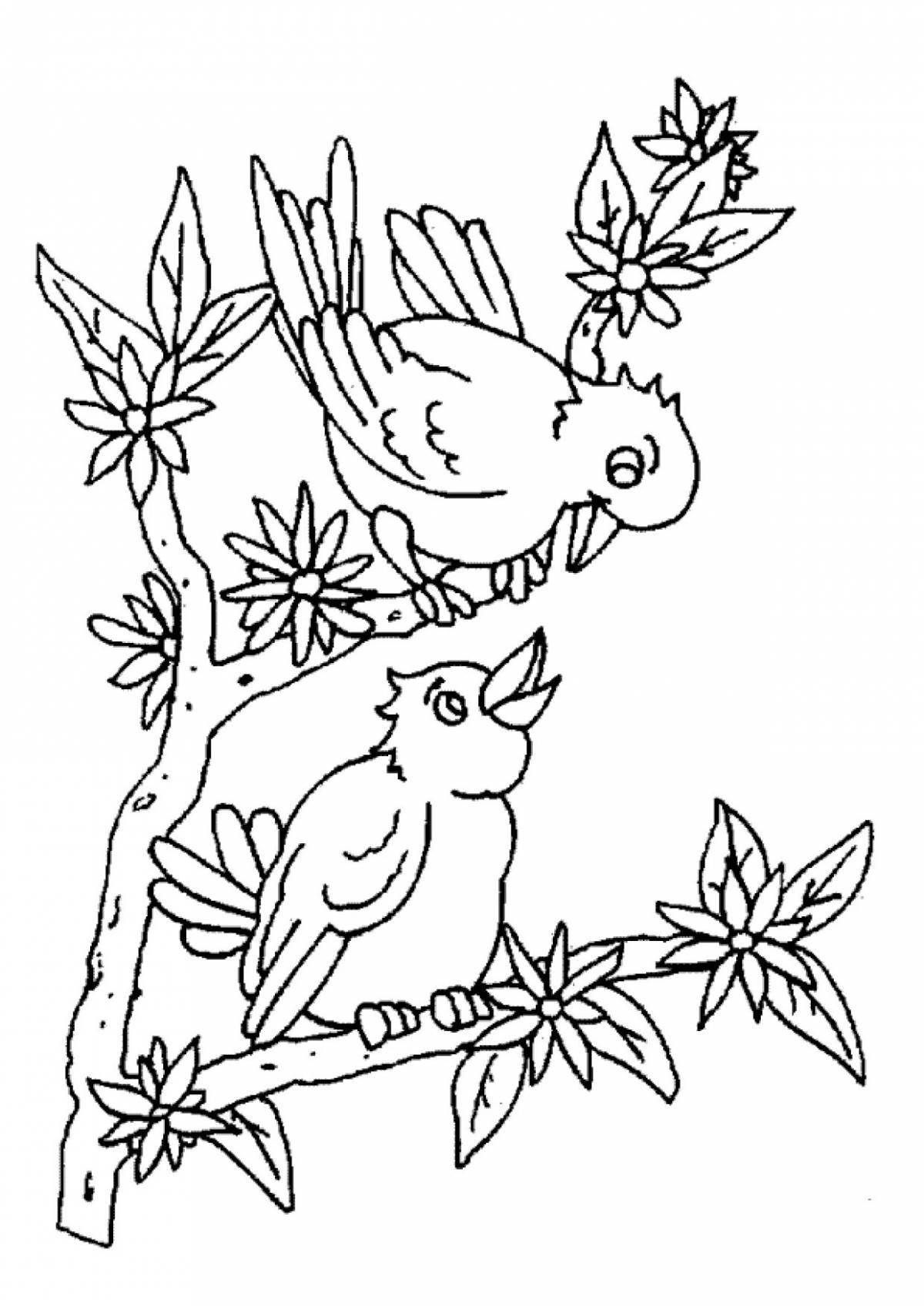 Раскраски для детей на тему птицы