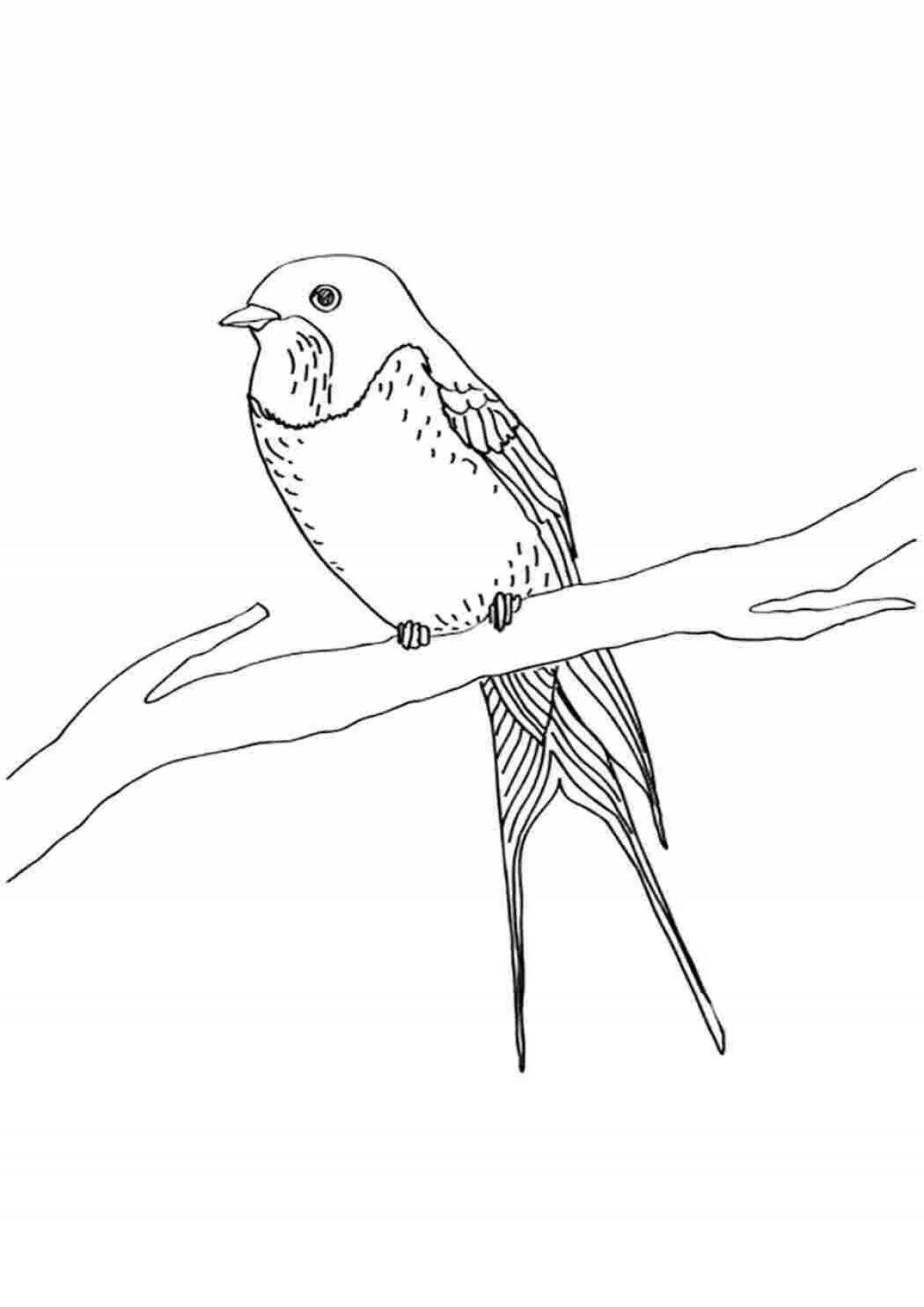 Веселая птица на дереве