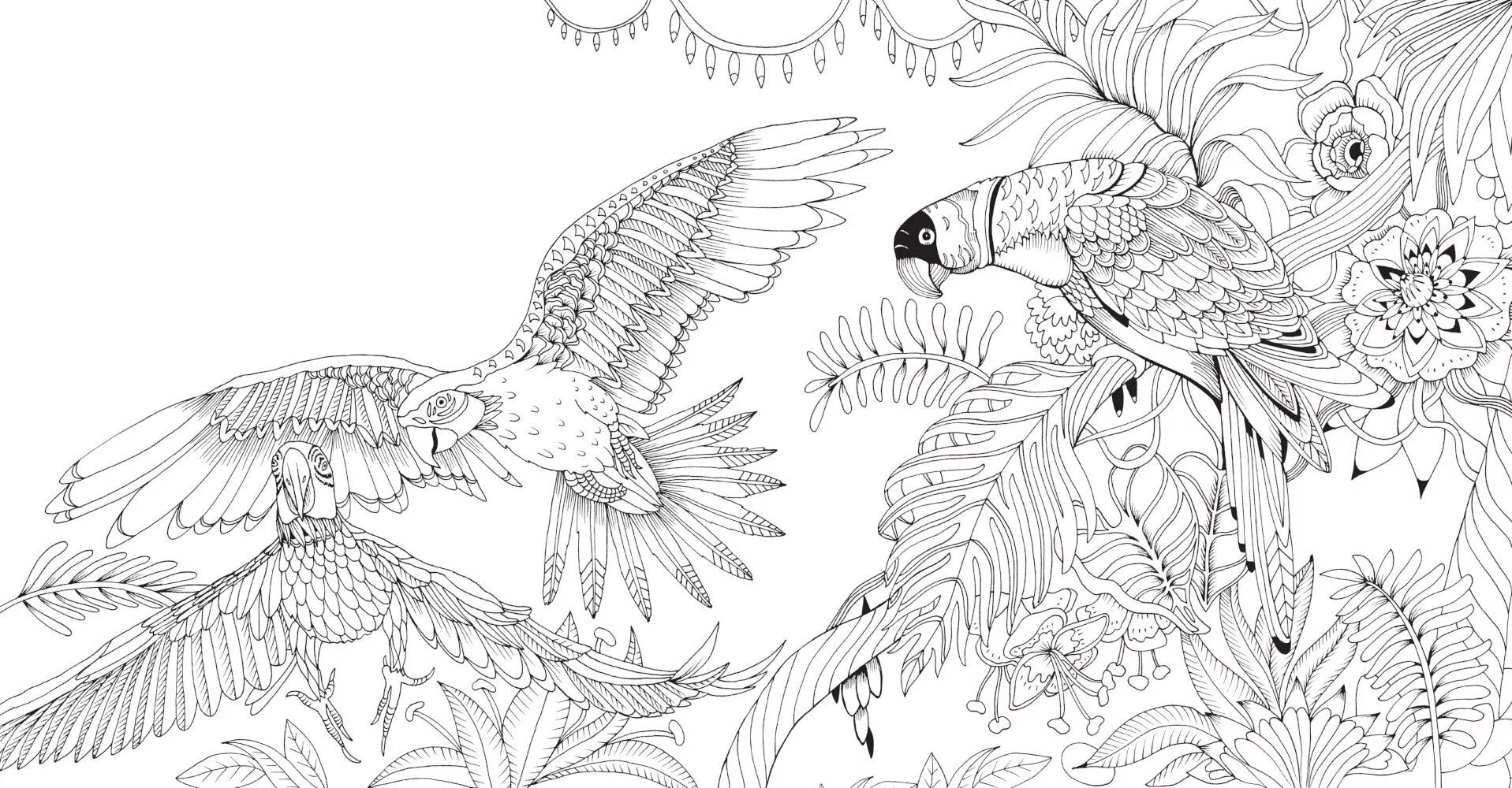 Great anti-stress coloring book