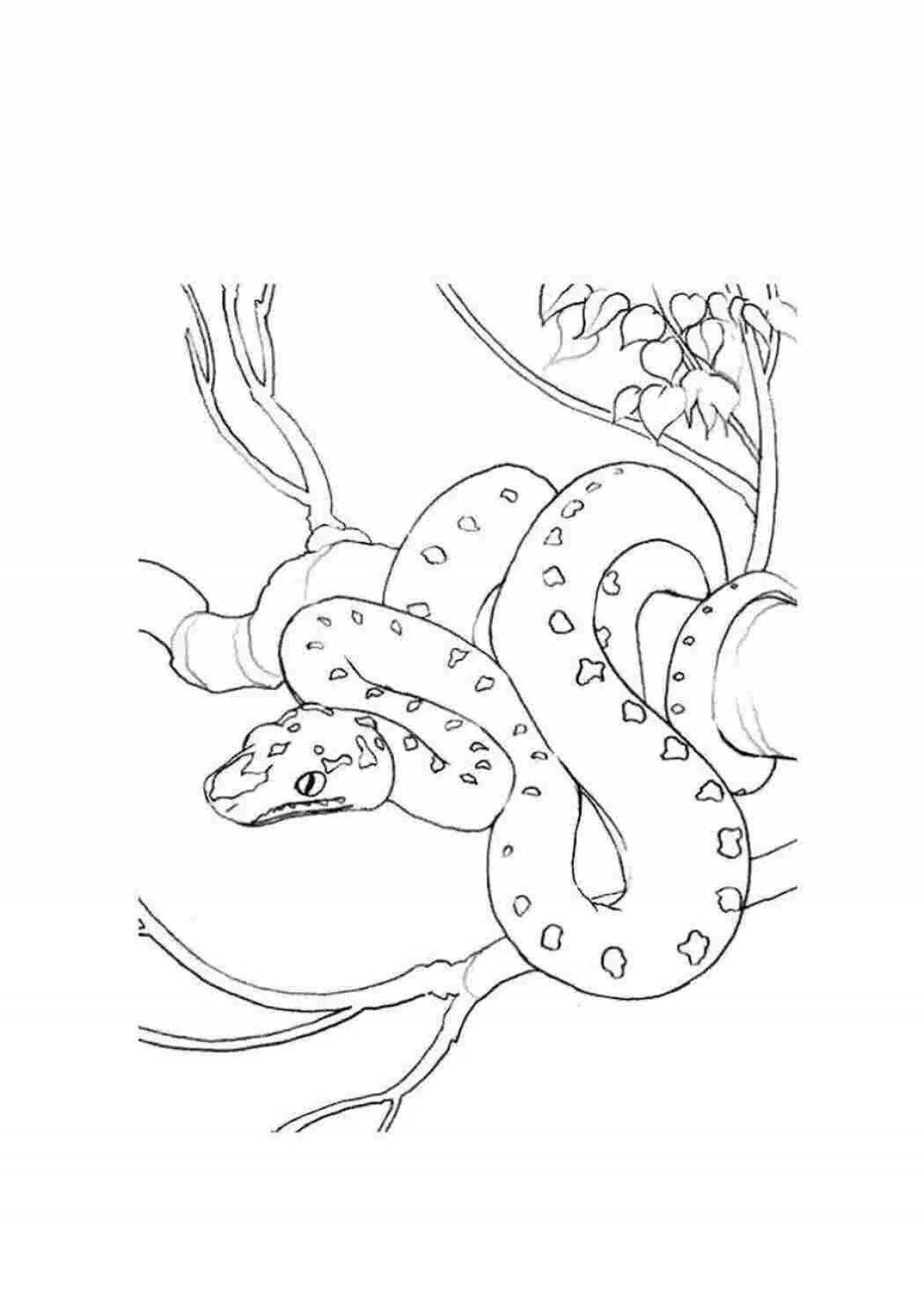 Coloring page nice budge blue snake