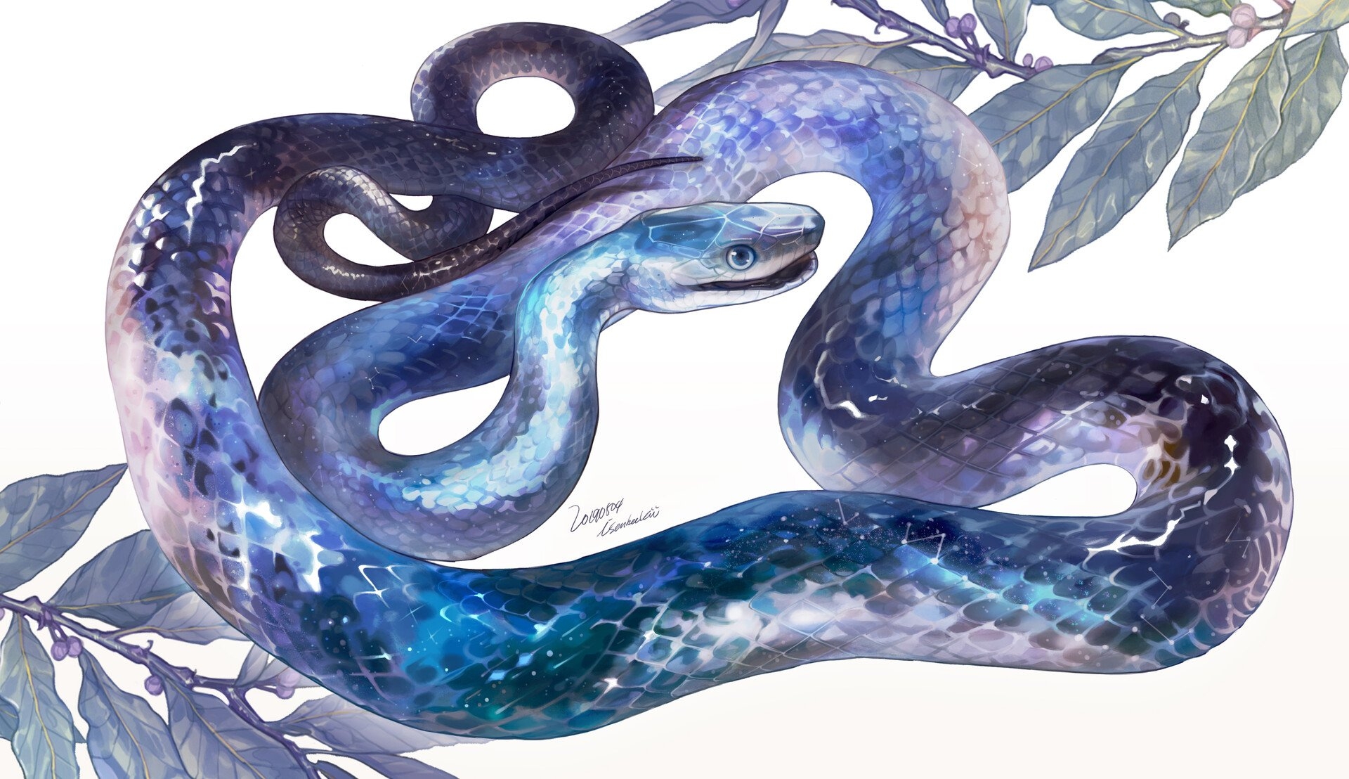 Раскраска очаровательная голубая змея баджова