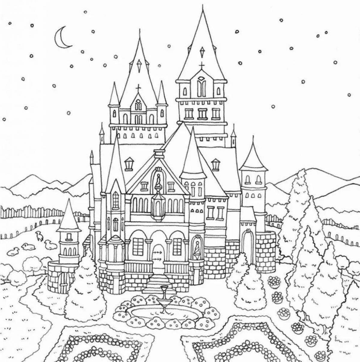 Coloring book of the luxurious palace of the snow queen