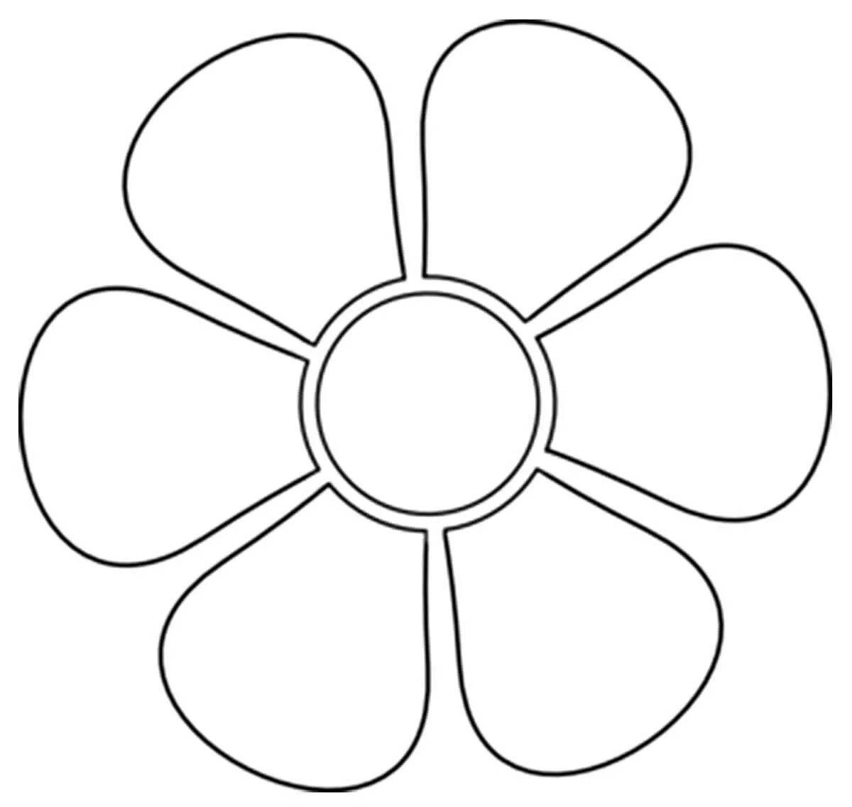 Live coloring flower 7 petals