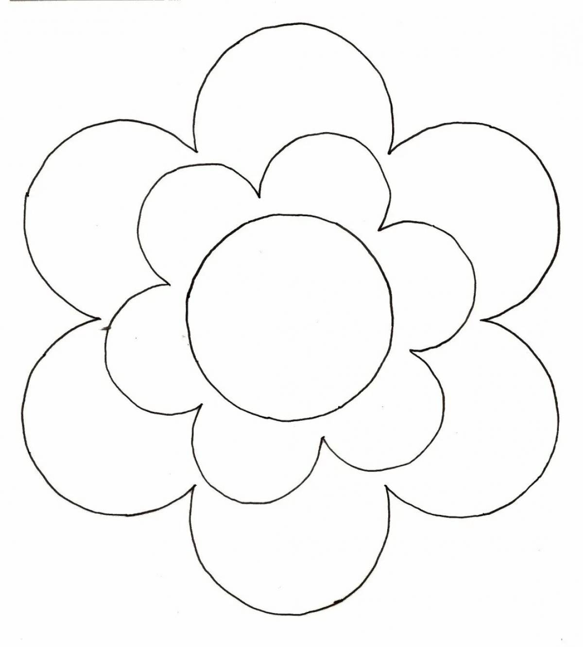 Colouring serene flower 7 petals