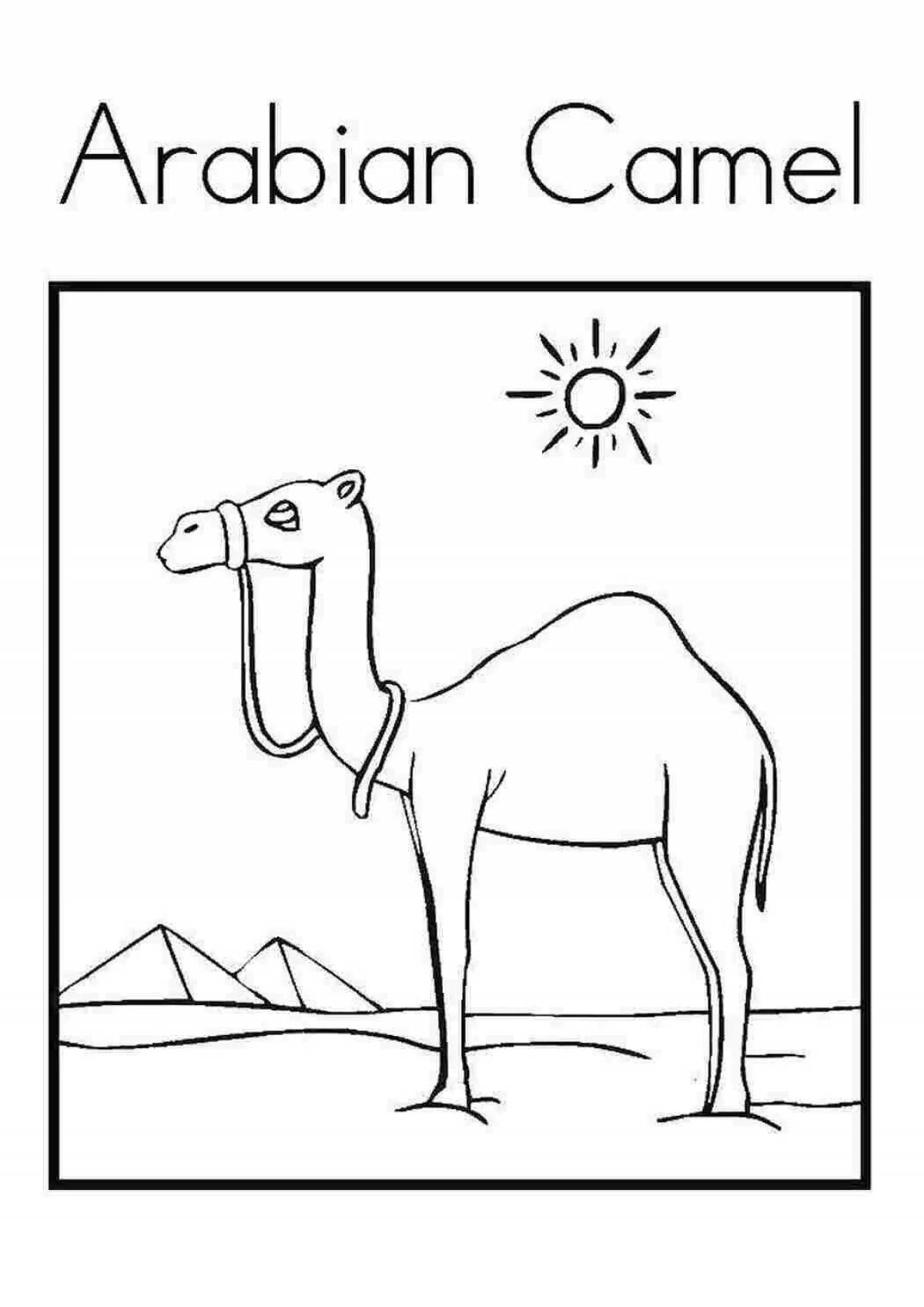 Vibrant desert coloring page for kids