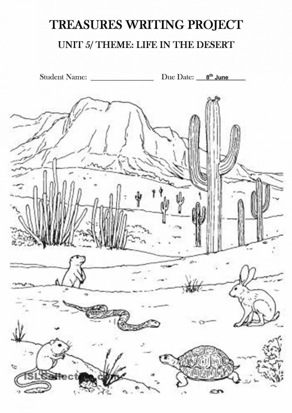 Glowing desert coloring book for kids