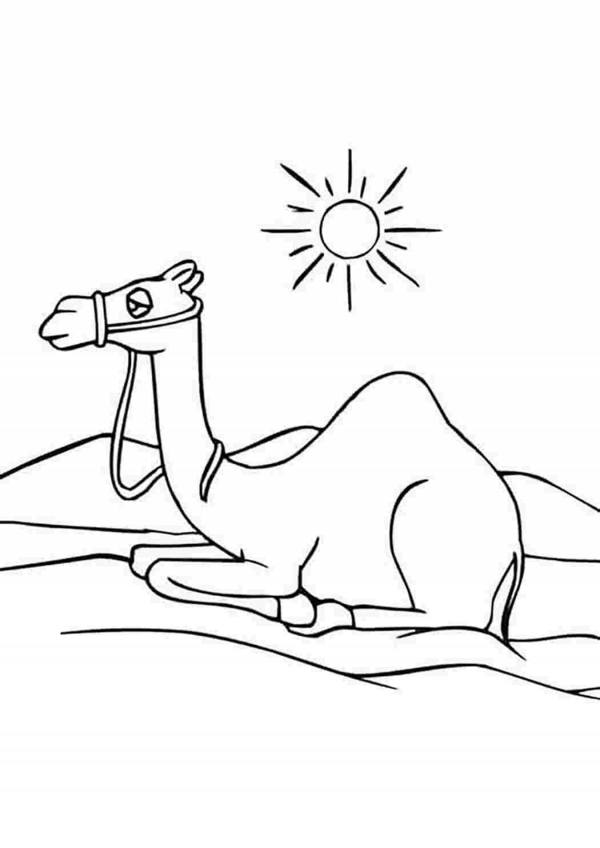 Photo Glowing desert coloring book for kids