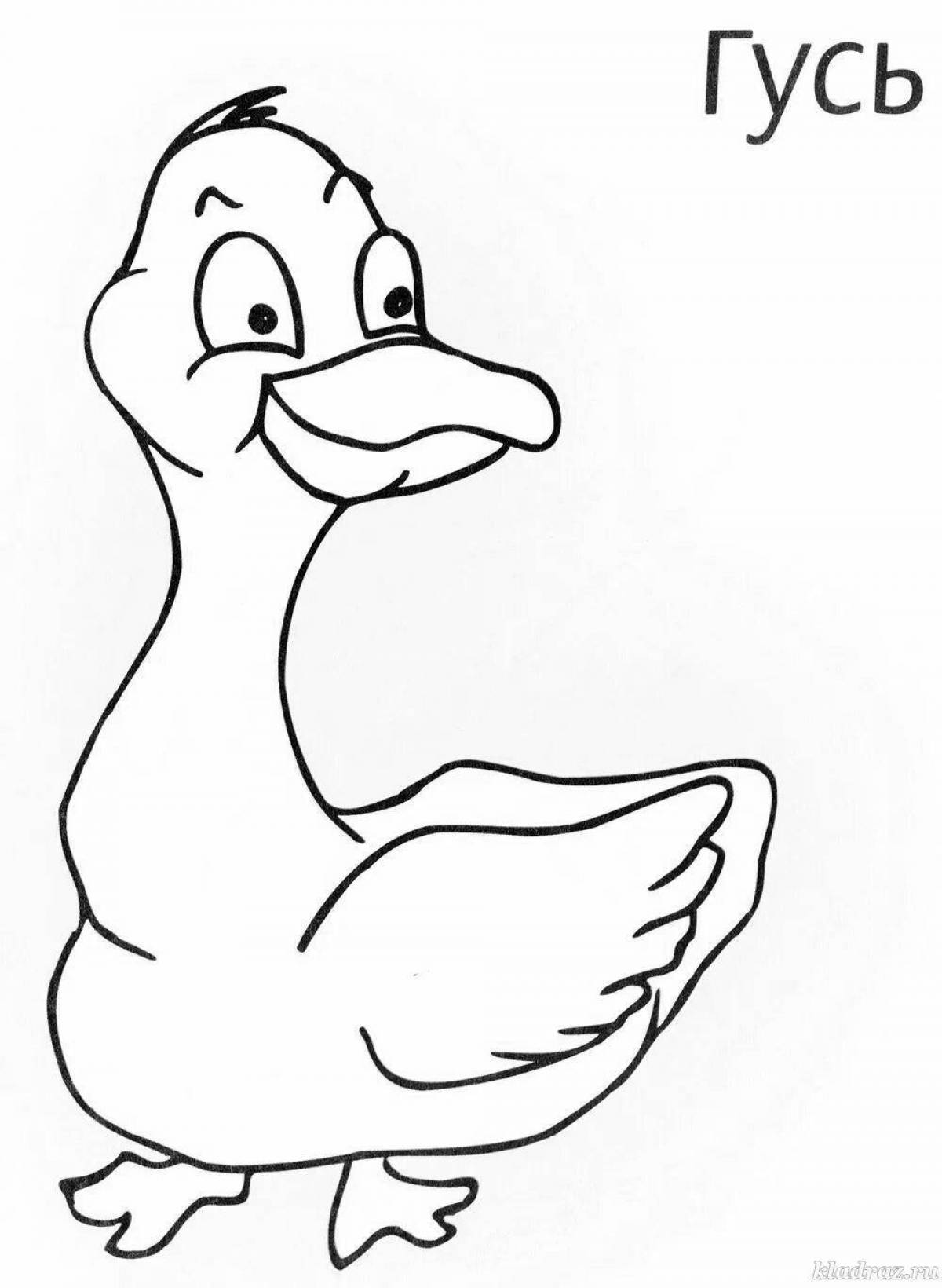 Coloring book shining geese