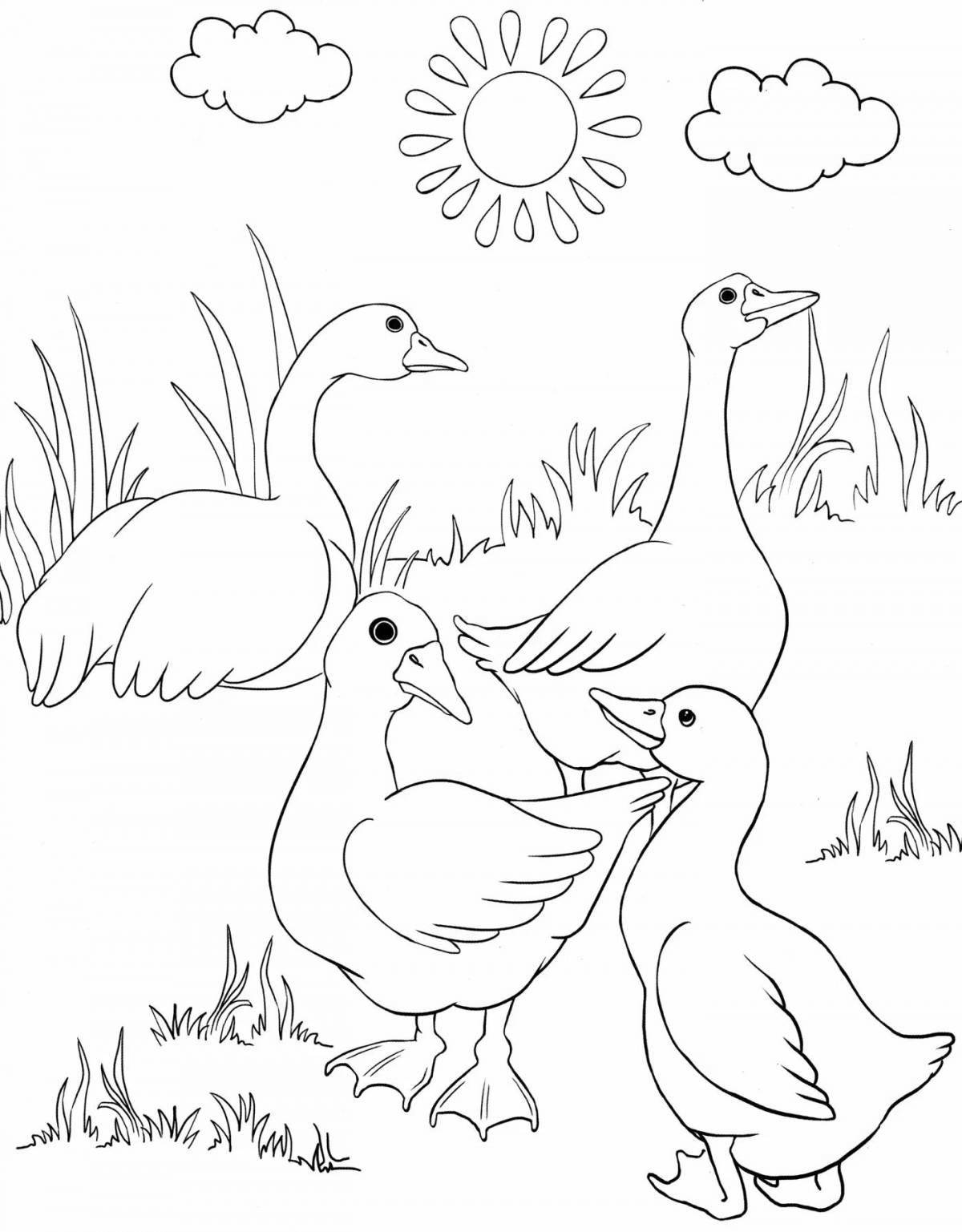 Grinning geese coloring page