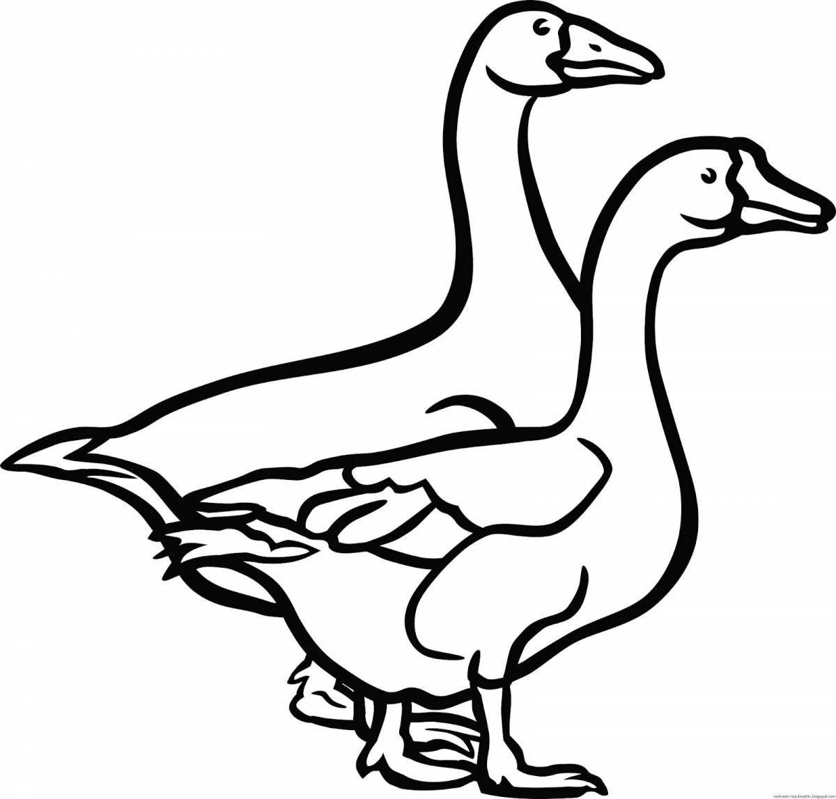 Coloring page energetic geese