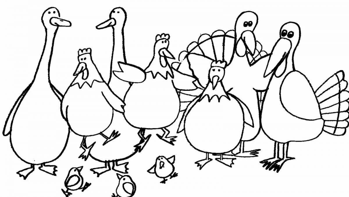 Peppy geese coloring page