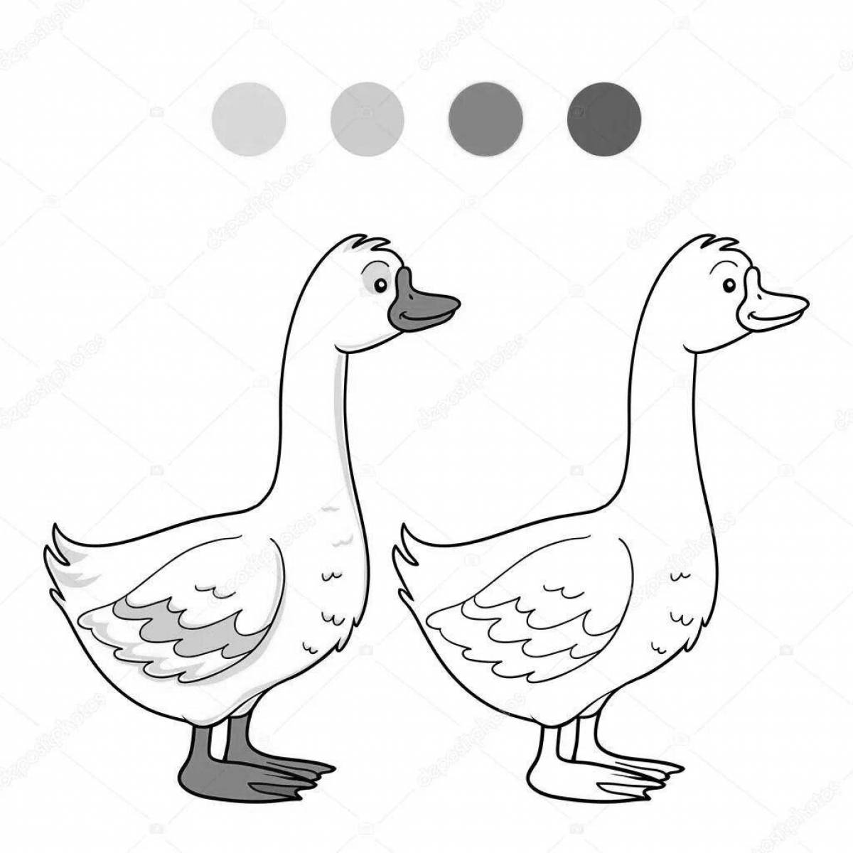 Two funny geese #6