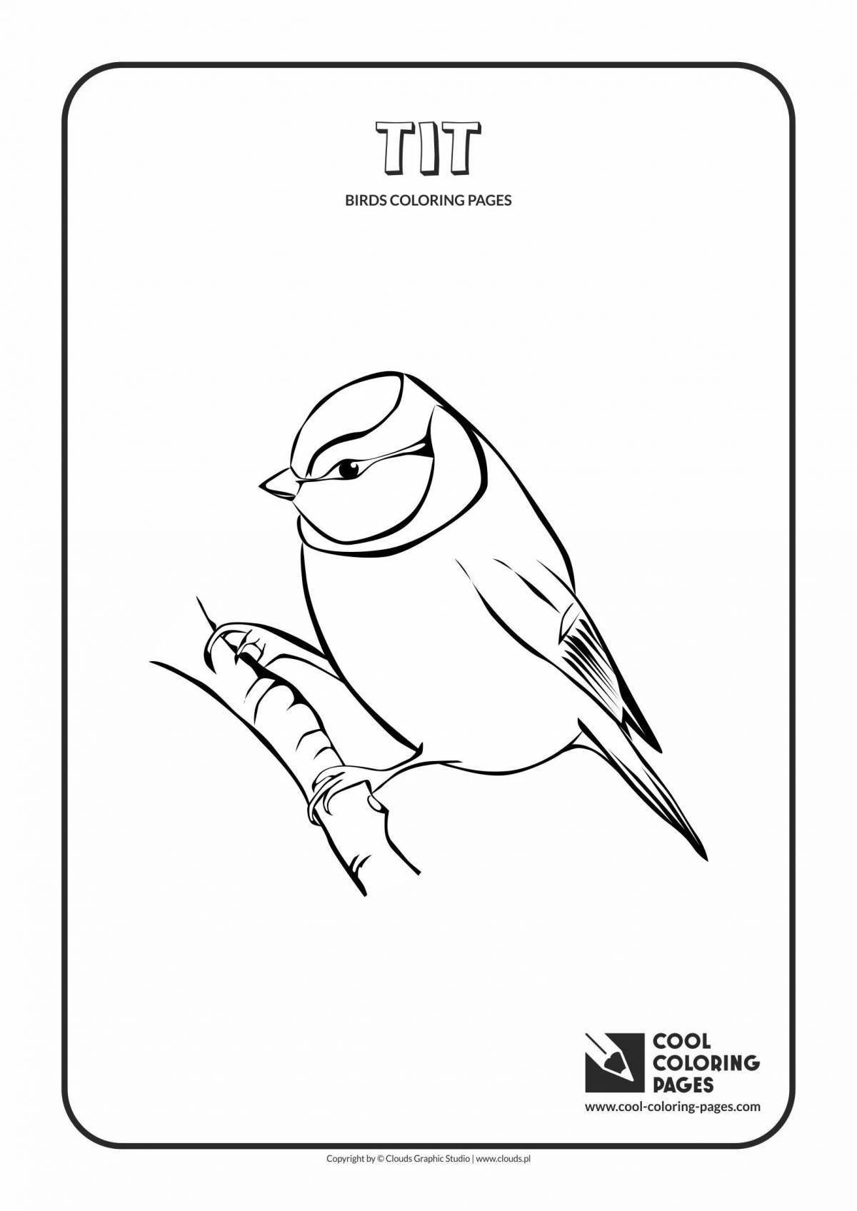 Cheerful tit coloring for kids