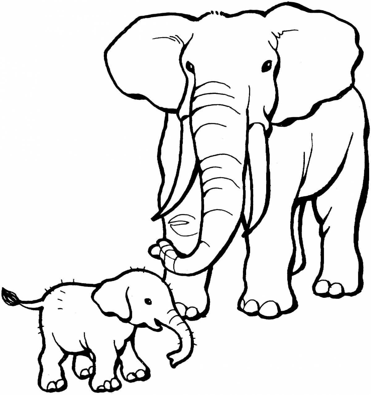 Amazing elephant coloring page for kids