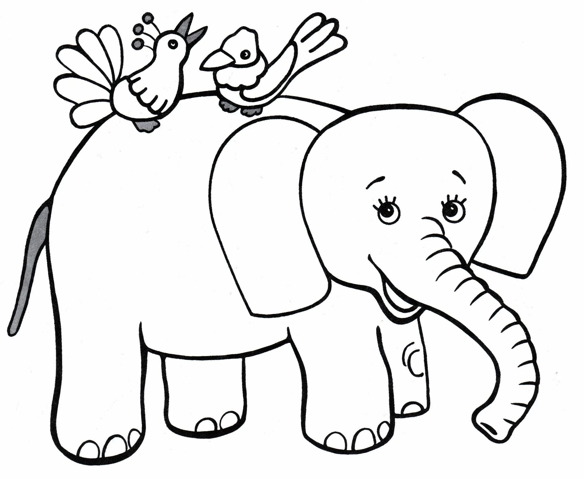 Слон для малышей #3